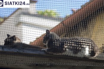Siatki Jasło - Siatka na balkony dla kota i zabezpieczenie dzieci dla terenów Jasła